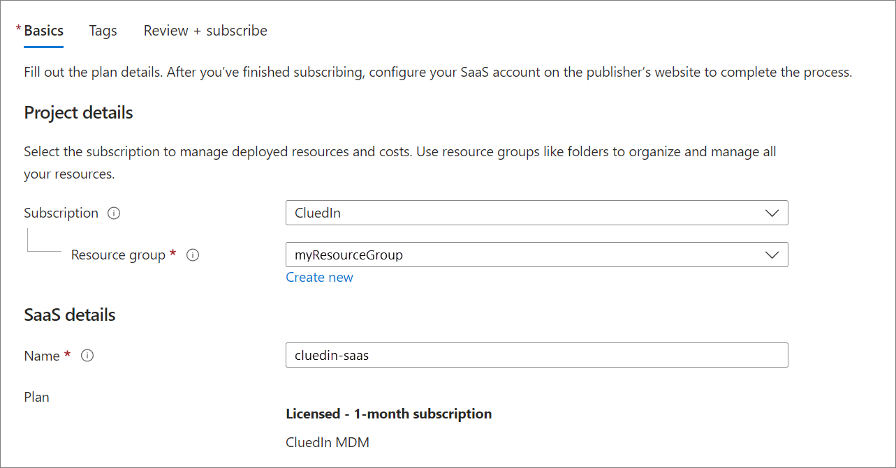 Basics tab with Subscription CluedIn, Resource group myResourceGroup, and the SaaS details Name cluedin-saas